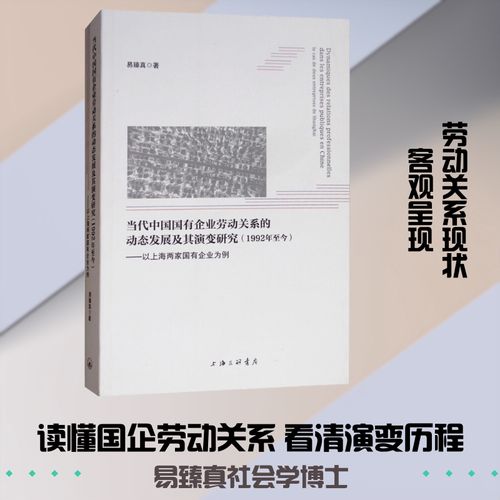 关系的动态发展及其演变研究