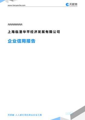 上海临港华平经济发展企业信用报告 天眼查数据下的上海企业发展透视