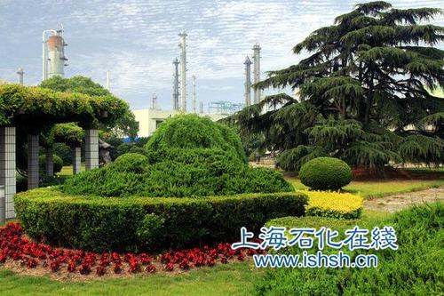 上海石化:建设绿色生态企业
