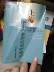 上海中小企业发展战略研究